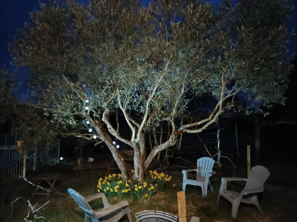 Bed and Breakfast Au Beaulieu Beaulieu  Экстерьер фото